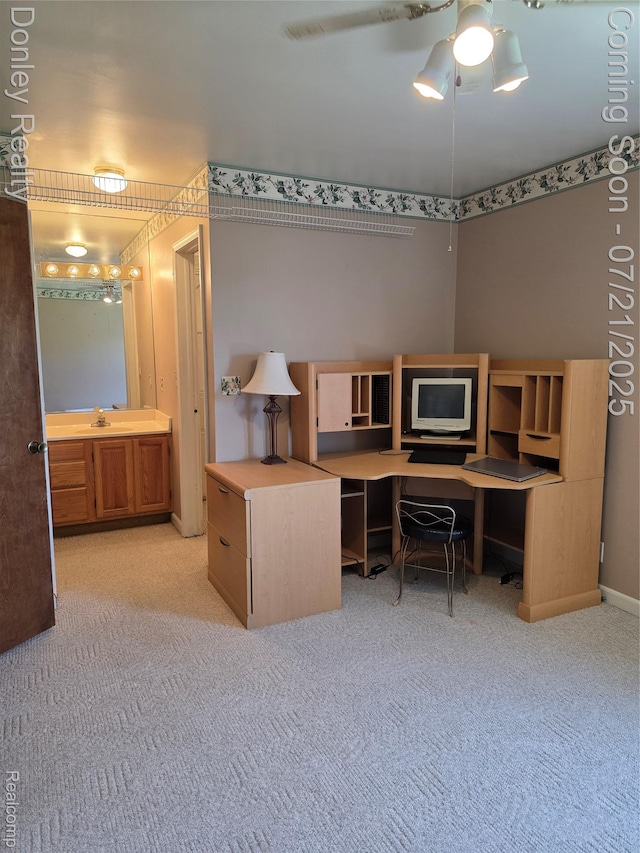 12923 Belle River Rd, Riley, MI 48041 - photo 39