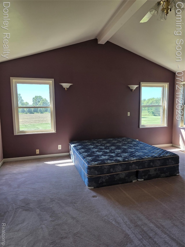 12923 Belle River Rd, Riley, MI 48041 - photo 32