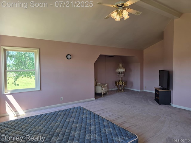 12923 Belle River Rd, Riley, MI 48041 - photo 31