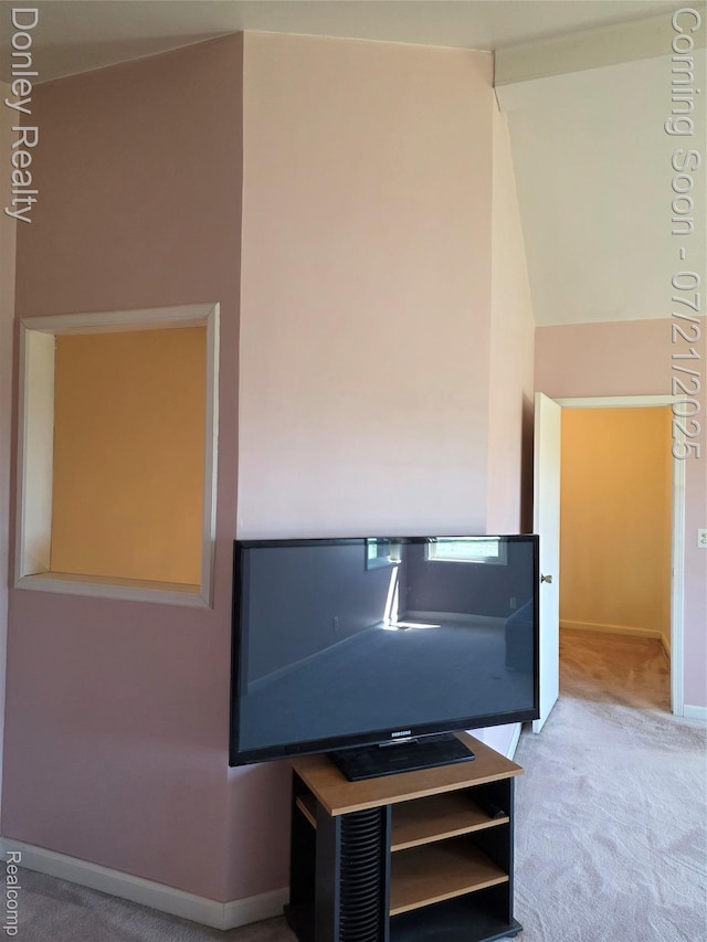 12923 Belle River Rd, Riley, MI 48041 - photo 28