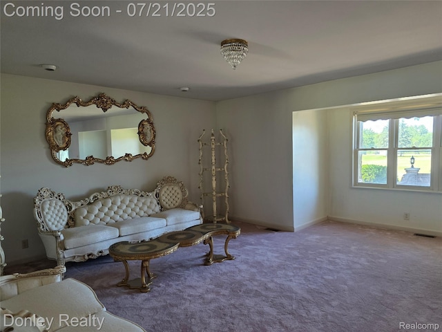 12923 Belle River Rd, Riley, MI 48041 - photo 17