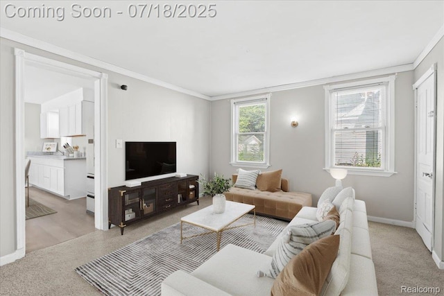 520 E 2nd St, Monroe, MI 48161 - photo 9