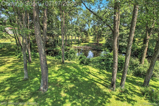 3501 White Oaks Dr, Highland, MI 48357 - photo 26