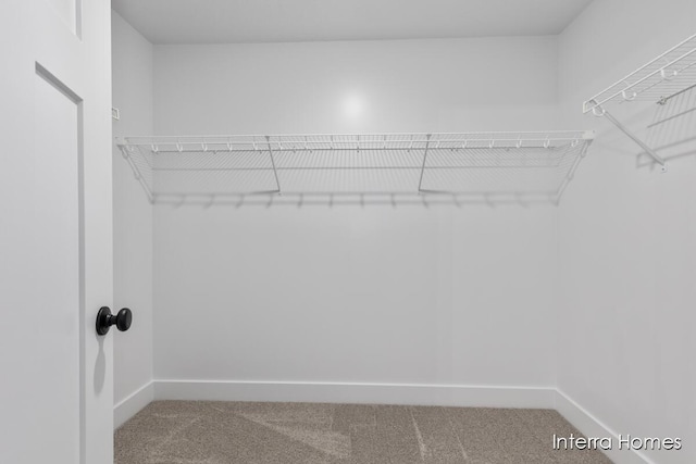 3351 Kings River St SW Unit 35, Wyoming, MI 49418 - walk in closet with carpet