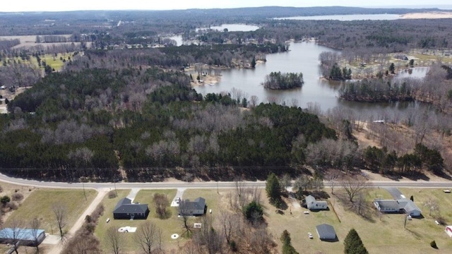 7898 W Juniper Beach Rd, Mears, MI 49436 - view of property location featuring a heavily wooded area and a large body of water
