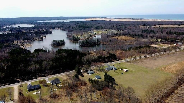 7898 W Juniper Beach Rd, Mears, MI 49436 - aerial view of property and surrounding area with a nearby body of water