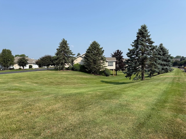5766 Wineberry Ln SW, Wyoming, MI 49418 - view of grassy yard