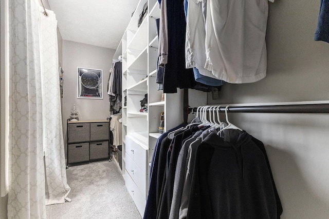 12912 Valley Dr, Wayland, MI 49348 - walk in closet with light colored carpet