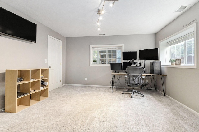 12912 Valley Dr, Wayland, MI 49348 - office with plenty of natural light, carpet, and rail lighting