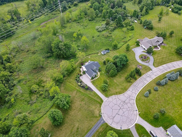 945 Gray Fox Ct, Howell, MI 48843 - photo 79