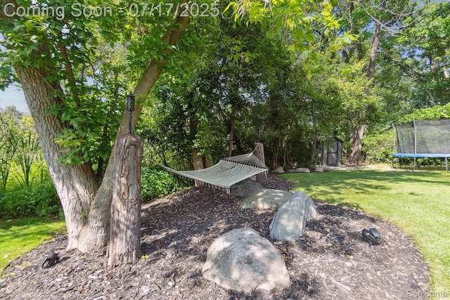 4348 Oak Tree Trl, Fenton, MI 48430 - photo 55