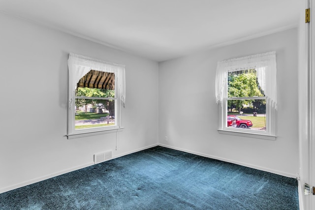 815 Springcrest Blvd, Jackson, MI 49203 - photo 19