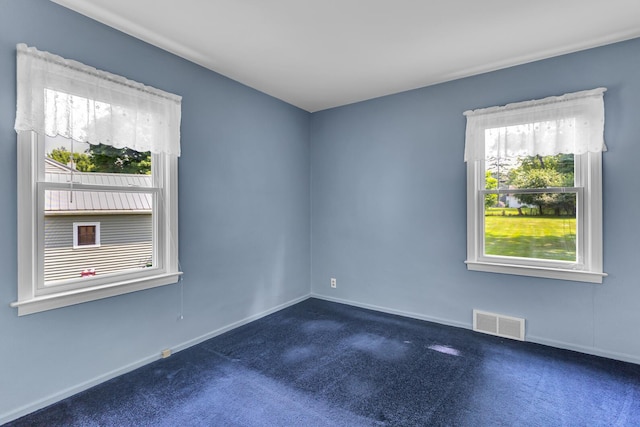 815 Springcrest Blvd, Jackson, MI 49203 - photo 22