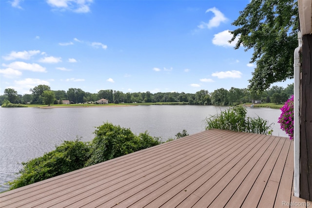 61771/2 S Sheridan Ave, Durand, MI 48429 - photo 35