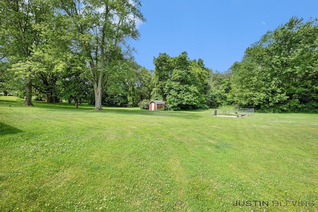 8277 Alpine Ave NW, Sparta, MI 49345 - view of grassy yard with a shed