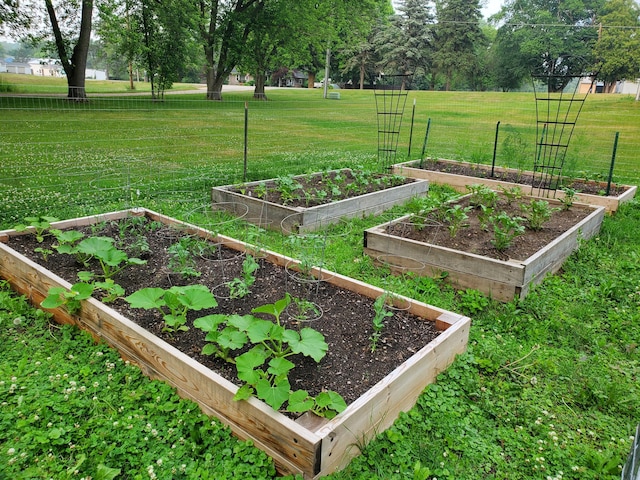 8277 Alpine Ave NW, Sparta, MI 49345 - view of green lawn with a vegetable garden