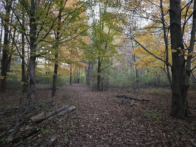 8277 Alpine Ave NW, Sparta, MI 49345 - view of wooded area
