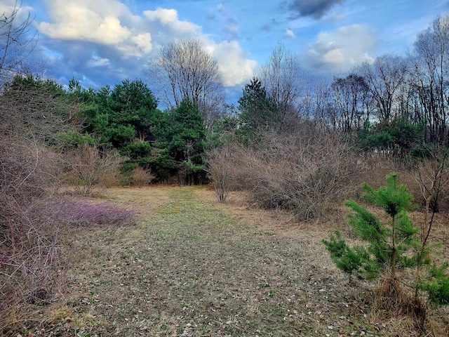 8277 Alpine Ave NW, Sparta, MI 49345 - view of nature