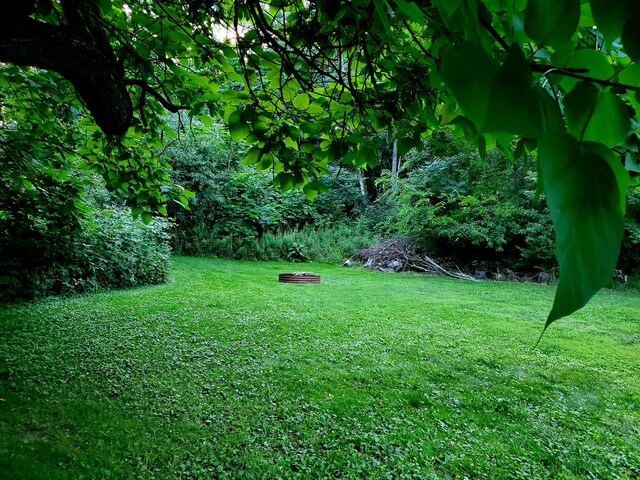8277 Alpine Ave NW, Sparta, MI 49345 - view of grassy yard
