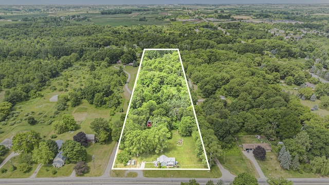 8277 Alpine Ave NW, Sparta, MI 49345 - view of property location featuring property boundaries highlighted and a forest