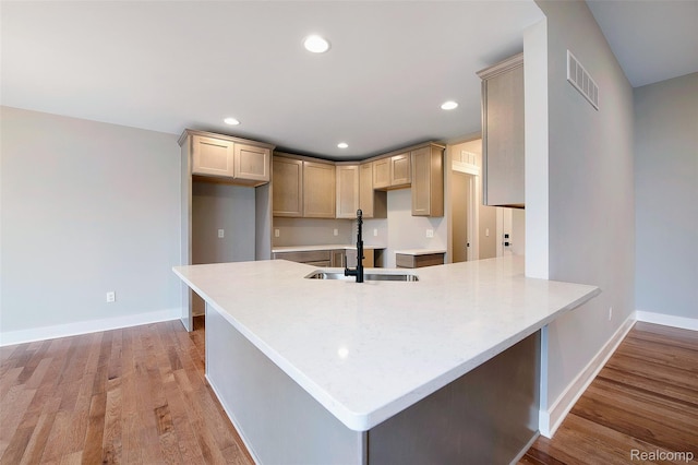 13339 Whispering Pines Ct, Linden, MI 48451 - kitchen with a peninsula, light wood finished floors, recessed lighting, and light countertops