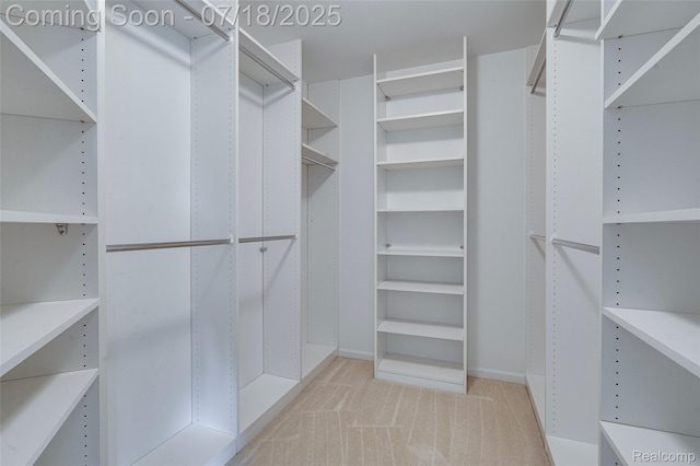 24352 Cavendish Ave W, Novi, MI 48375 - spacious closet featuring light colored carpet