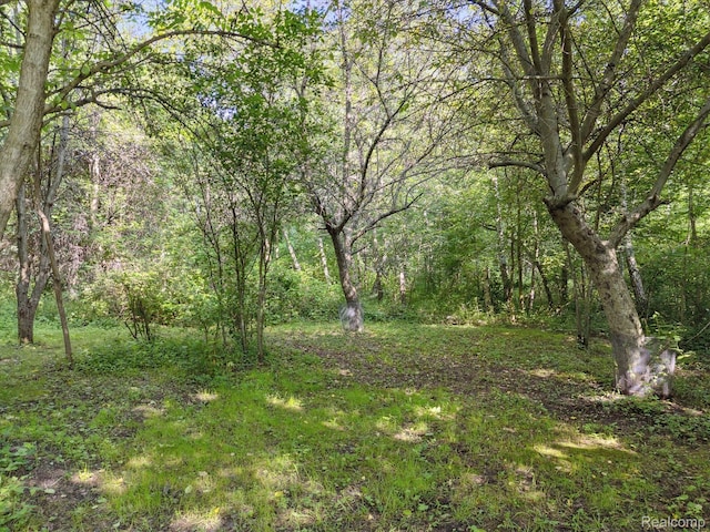 2374 N Vassar, Davison, MI 48423 - photo 4