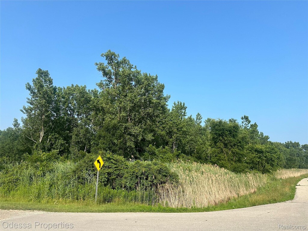 000 Farwell St, New Baltimore, MI 48047 - photo 1