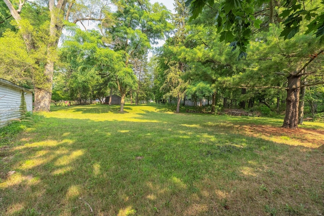 614 Hutchinson St, Kalamazoo, MI 49008 - photo 27