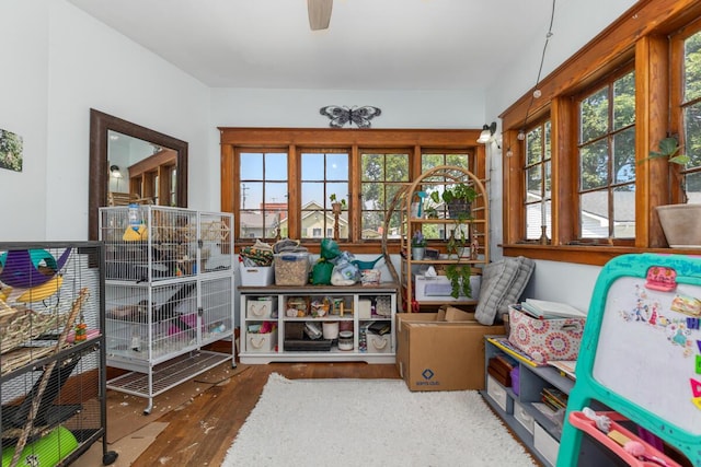 117 E E Oak St, Ovid, MI 48866 - photo 29