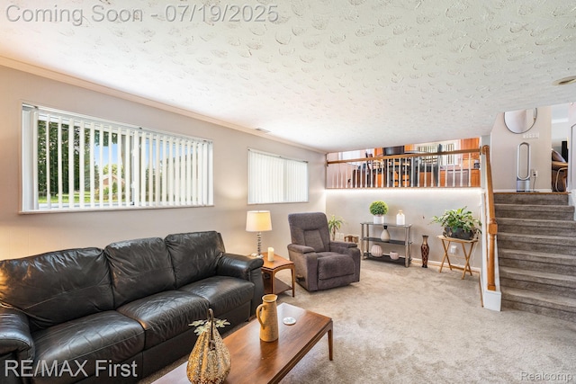 14348 Mary Grove Dr, Sterling Heights, MI 48313 - photo 10