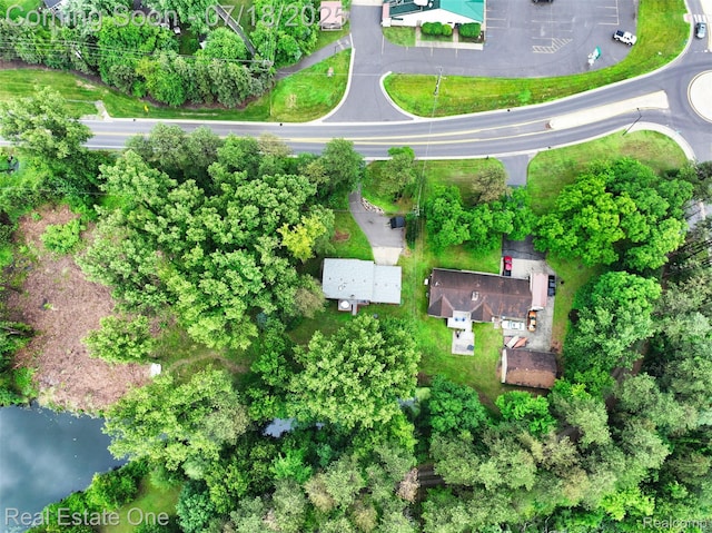 3956 S Sashabaw Rd, Clarkston, MI 48348 - photo 4