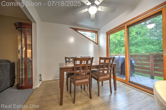 3956 S Sashabaw Rd, Clarkston, MI 48348 - photo 29