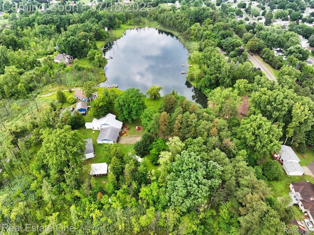 3956 S Sashabaw Rd, Clarkston, MI 48348 - photo 15