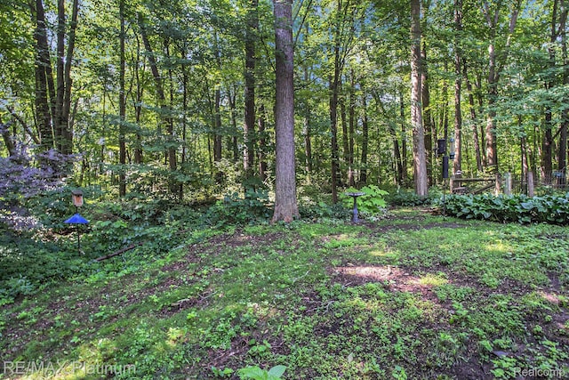 3456 Beattie Rd, Howell, MI 48843 - photo 24