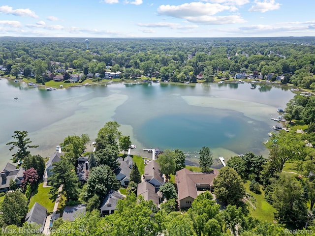 6847 Alden Dr, West Bloomfield, MI 48324 - photo 51