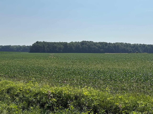 9088 Elliott Hwy, Morenci, MI 49256 - photo 1