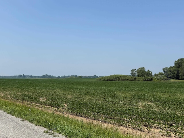 9088 Elliott Hwy, Morenci, MI 49256 - photo 3