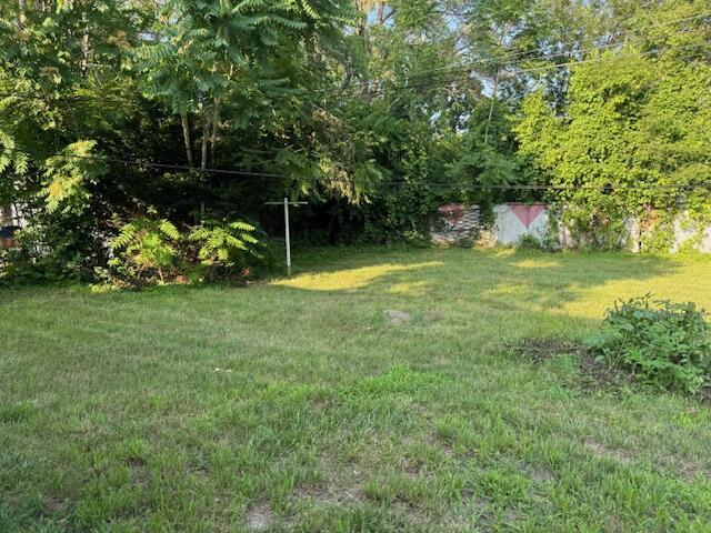 3033 Williams St, Inkster, MI 48141 - view of yard