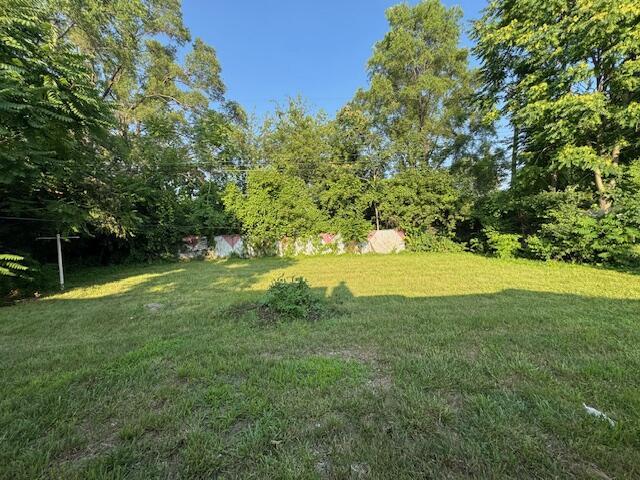 3033 Williams St, Inkster, MI 48141 - view of green lawn