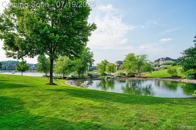 10827 Sparkling Waters Ct, South Lyon, MI 48178 - water view