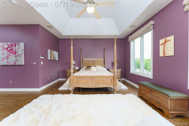 10827 Sparkling Waters Ct, South Lyon, MI 48178 - bedroom with wood finished floors, a tray ceiling, and a ceiling fan