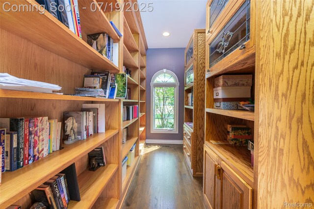 10827 Sparkling Waters Ct, South Lyon, MI 48178 - view of storage