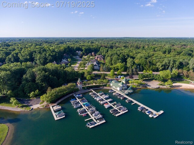 10827 Sparkling Waters Ct, South Lyon, MI 48178 - bird's eye view of a large body of water and a marina