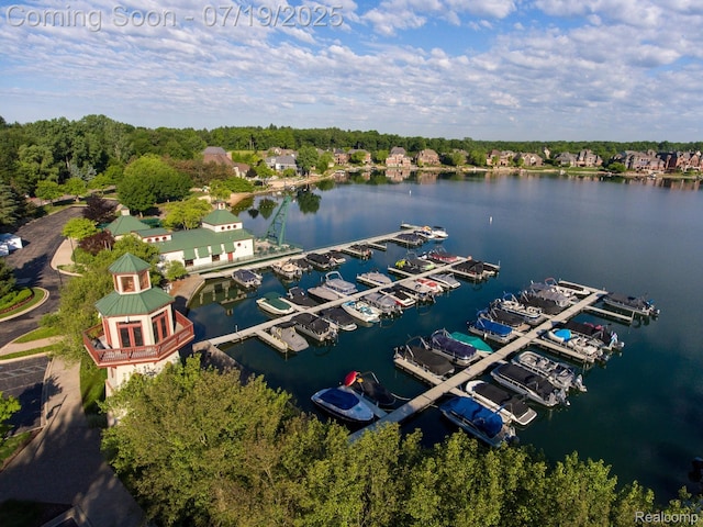 10827 Sparkling Waters Ct, South Lyon, MI 48178 - drone / aerial view of a large body of water and numerous boat docks