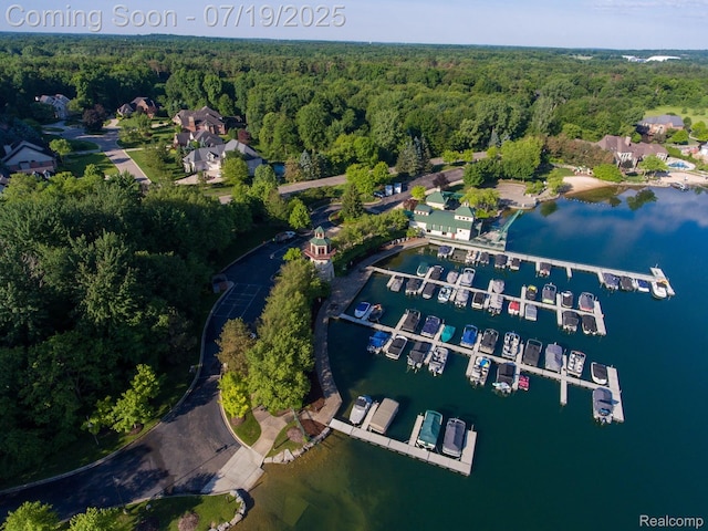 10827 Sparkling Waters Ct, South Lyon, MI 48178 - view of property location with a large body of water and a marina