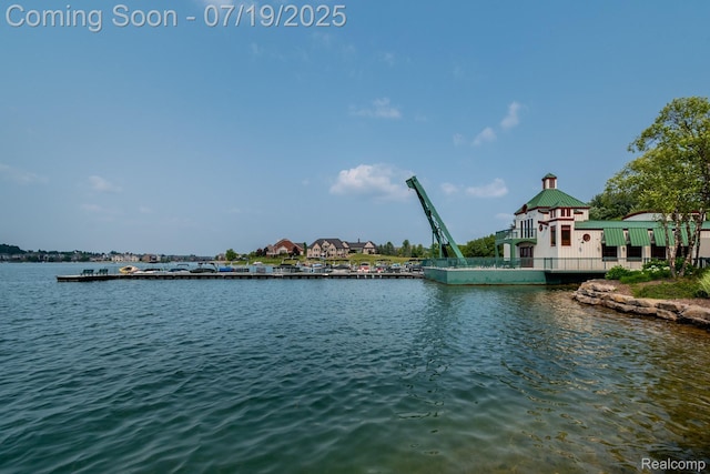 10827 Sparkling Waters Ct, South Lyon, MI 48178 - water view