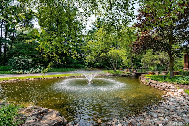 10827 Sparkling Waters Ct, South Lyon, MI 48178 - water view