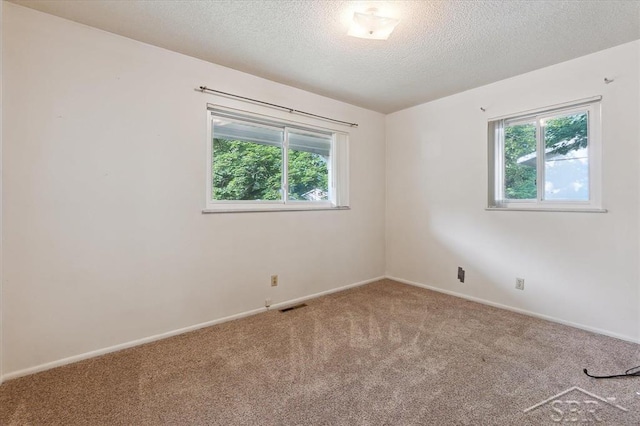 3118 Spruce St, Midland, MI 48640 - unfurnished room with healthy amount of natural light, carpet floors, and a textured ceiling