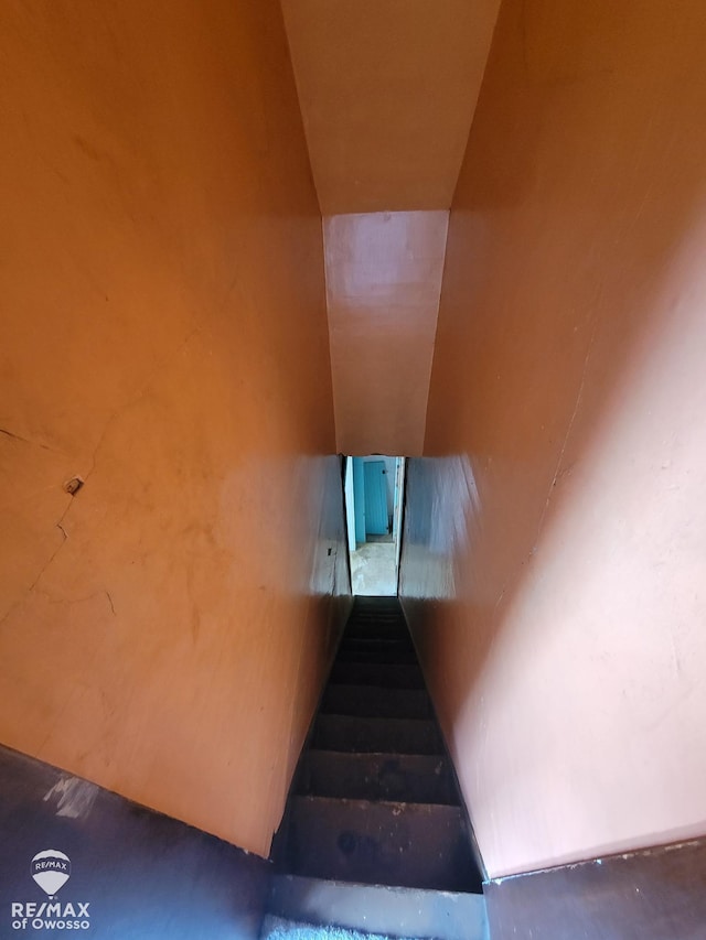 725 River St, Owosso, MI 48867 - view of stairs